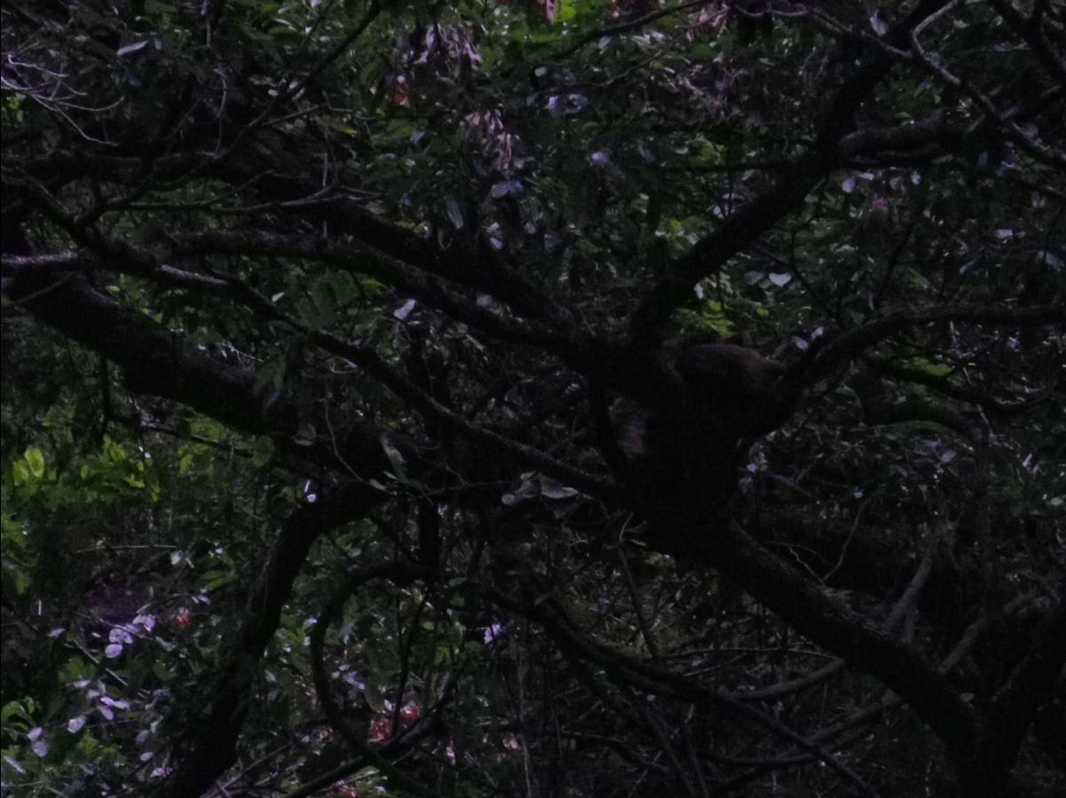 Sumidero Canyon near Tuxtla Gutierrez096